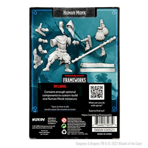 Dungeons & Dragons: Frameworks Human Monk Male