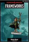 Dungeons & Dragons: Frameworks Human Druid Female