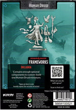 Dungeons & Dragons: Frameworks Human Druid Female