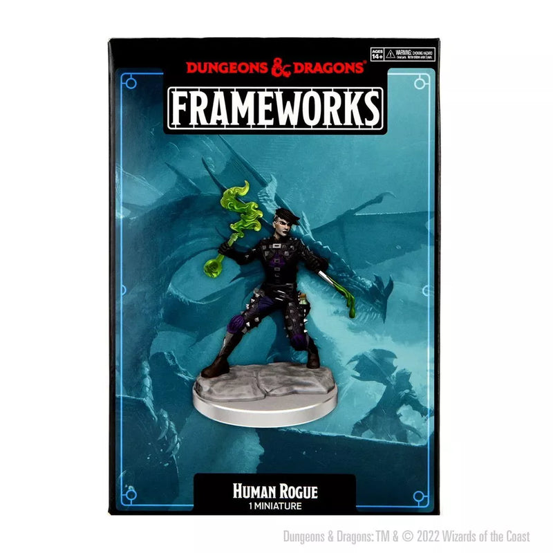 Dungeons & Dragons: Frameworks Human Rogue Female