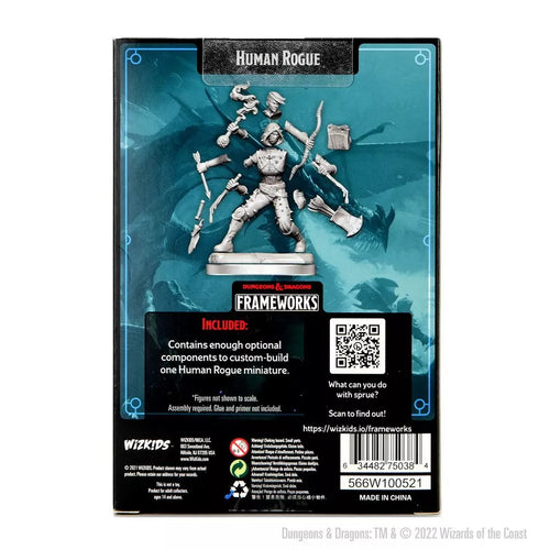 Dungeons & Dragons: Frameworks Human Rogue Female