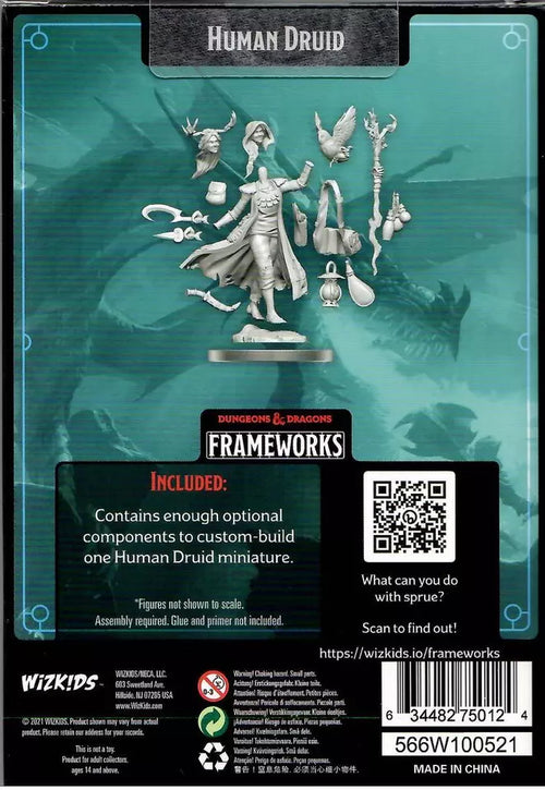 Dungeons & Dragons: Frameworks Human Druid Female